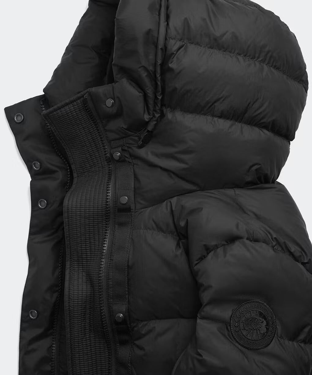 CANADA GOOSE 3042WT Montgomery Jacket - TD (NEW)