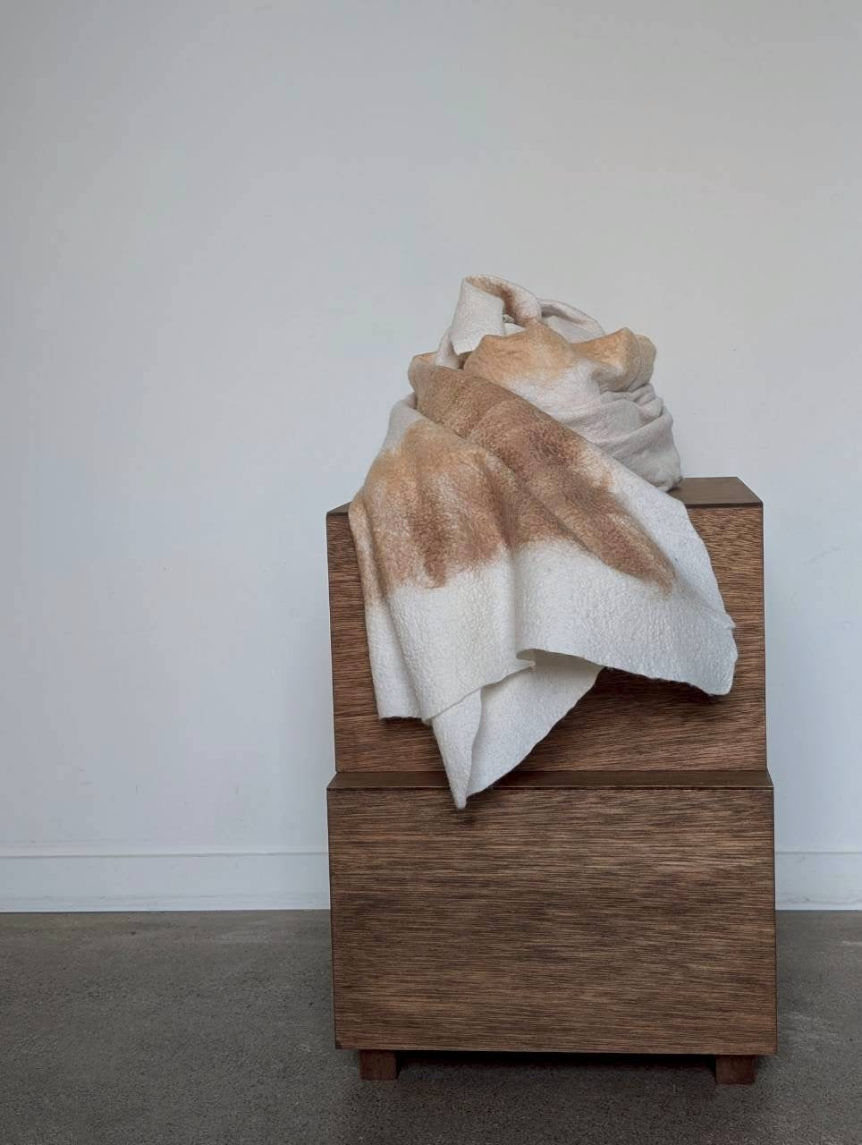 SILVANA MANETTI  FAUSTO