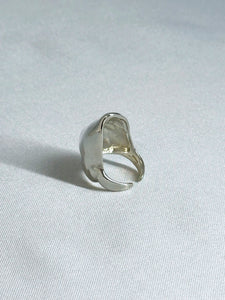 Lemme.  L0201 Primitive Ring #13